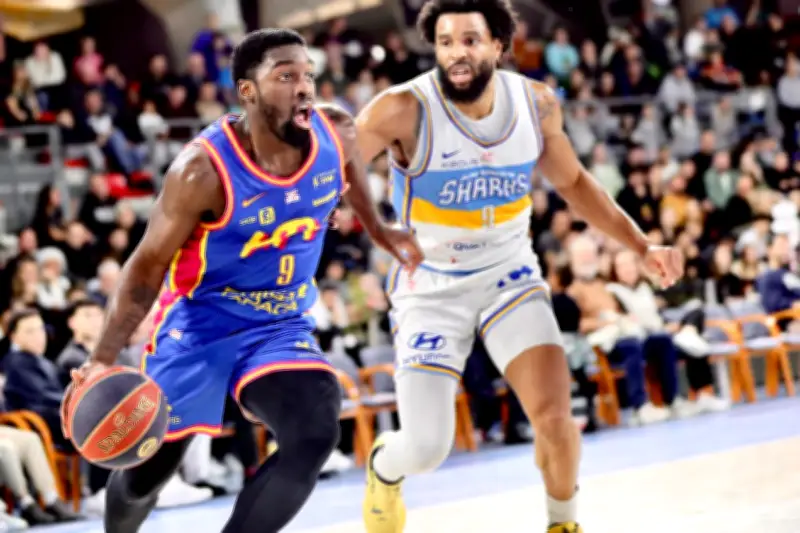 Les Sharks d'Antibes motivés à l'extrême pour renverser Rouen ce vendredi