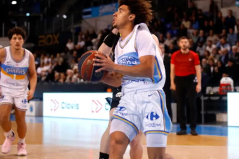 Les Sharks d'Antibes renversent Vichy dans un money-time de folie