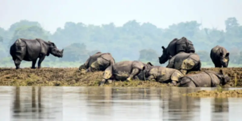 Les sites UNESCO, des havres de biodiversité essentiels pour la faune et la flore