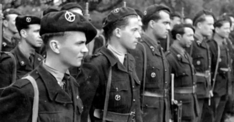 Les soldats français du Reich : enquête sur les ultras de la collaboration nazie