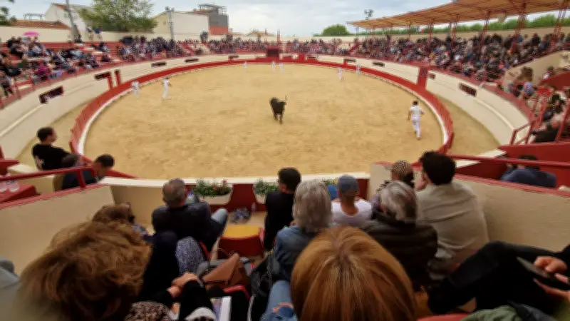 Les Taureaux-Bodéga lancent la saison estivale à Pérols