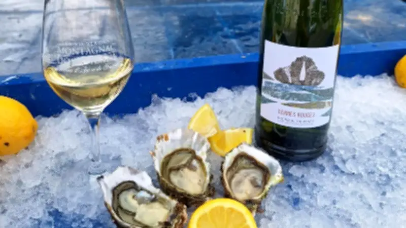 Les Vignerons Montagnac Domitienne deviennent Galhyos : une renaissance pour la cave coopérative