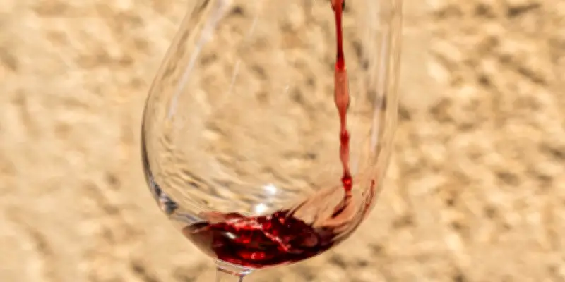 Les vins rouges du Languedoc : une sélection d'excellence révélée par Le Monde