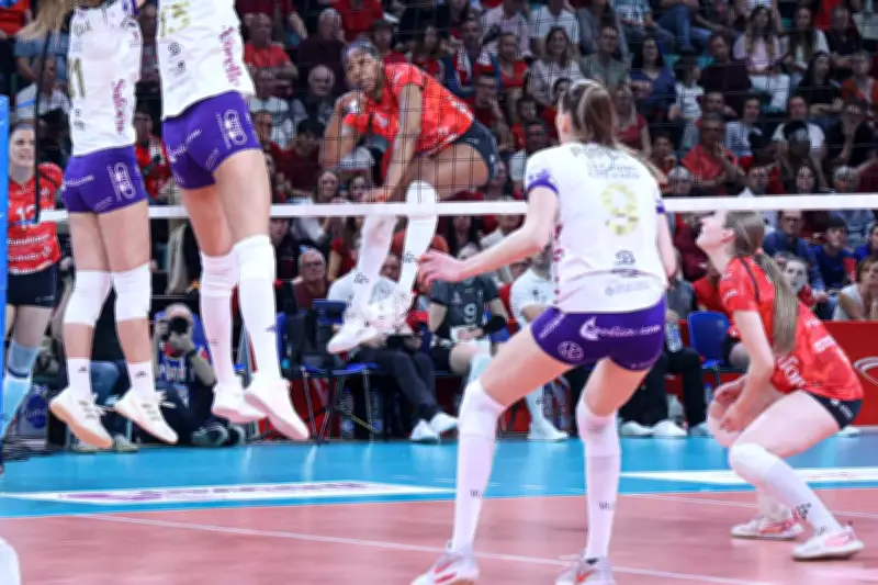 Les volleyeuses du Cannet éliminées en demi-finale après une défaite à Mulhouse