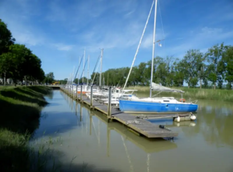 L'estuaire en fête : animations et chiens sauveteurs à Port Maubert