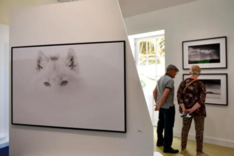 L'exposition Vincent Munier à Saint-Palais-sur-Mer captive par ses clichés animaliers époustouflants