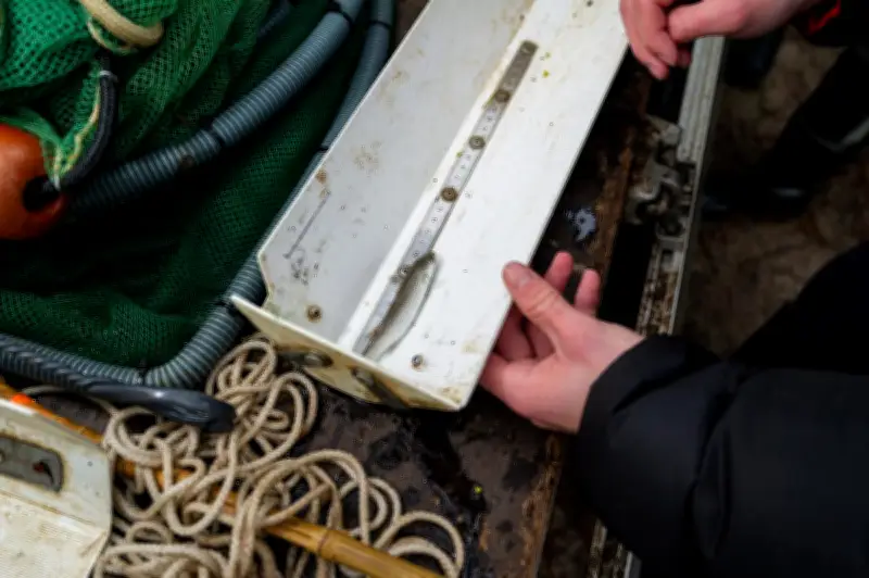 Lège-Cap-Ferret célèbre le printemps avec un mois d'activités nature