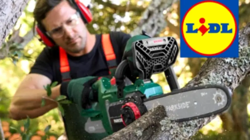 Lidl brade la tronçonneuse électrique Parkside sous les 50 euros : une offre choc pour le jardin