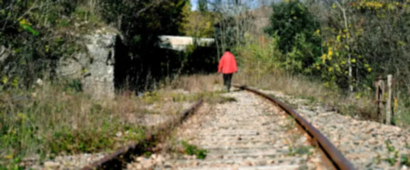 Ligne Alès-Bessèges : un projet ferroviaire face aux obstacles réglementaires