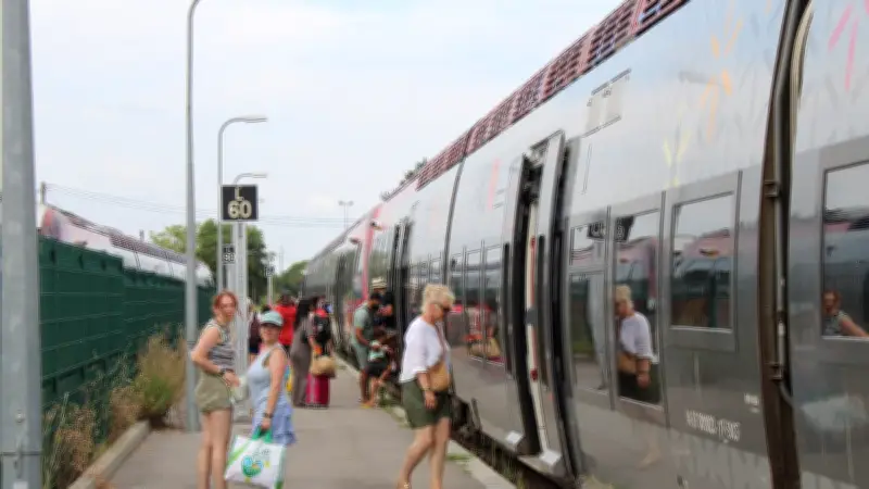 Ligne Nîmes-Le Grau-du-Roi : l'été plus calme grâce aux nouvelles mesures