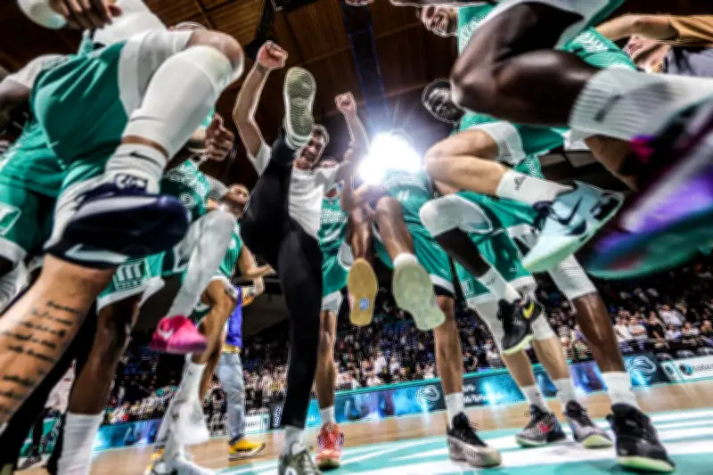 L'Élan Béarnais domine Challans et enchaîne une neuvième victoire consécutive