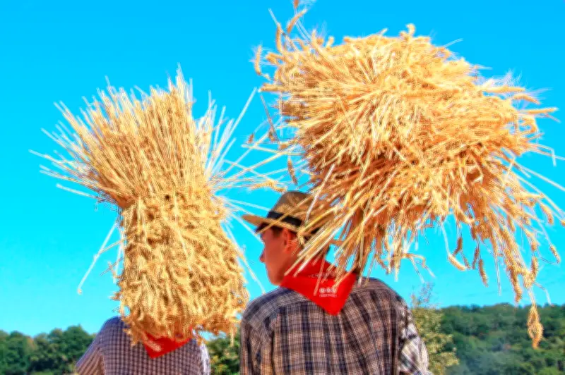 Loi d'urgence agricole : un texte controversé face aux défis climatiques et aux tensions politiques
