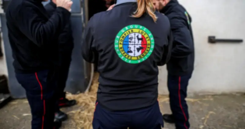 Lot-et-Garonne : un chevreuil égaré dans un jardin capturé et relâché dans la nature