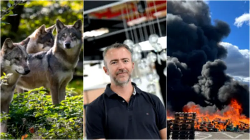 Loups, salon habitat, verrerie : l'actu en région