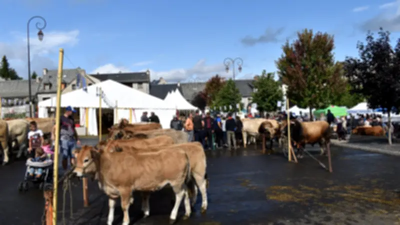 Lozère : forum des associations, fêtes et marché de producteurs