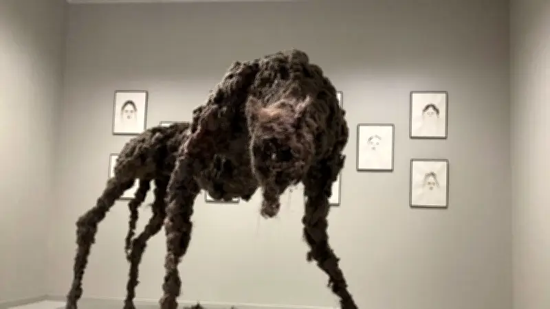 Lozère : musée, don du sang et conférence sur les langues régionales