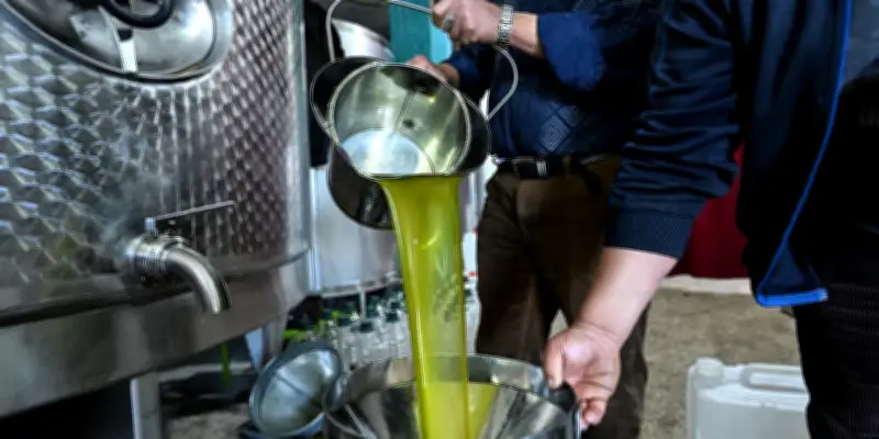 L'étrange anomalie du prix de l'huile d'olive déroute les marchés