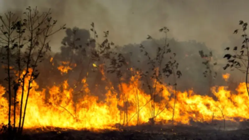 Malaisie : un incendie dévastateur détruit un millier de maisons dans un village côtier