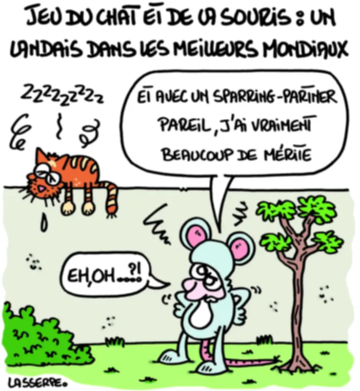 Marathons électoraux dans les Landes : des séances nocturnes jusqu'à l'aube