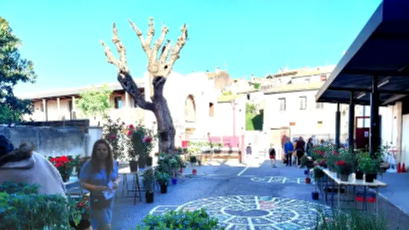 Marché aux fleurs des parents d'élèves à Puissalicon le 1er mai