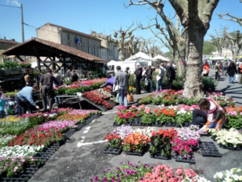 Marché aux fleurs du Lions Club à Lalinde : 30e édition le 1er mai