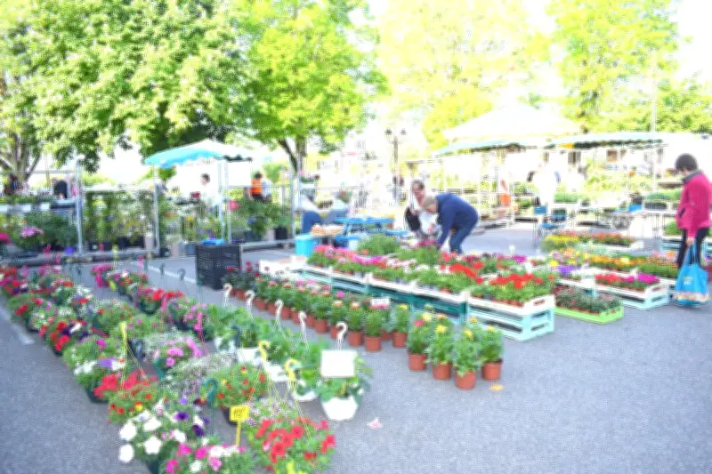 Marché aux fleurs et vide-greniers : 90 exposants à la cité ducale