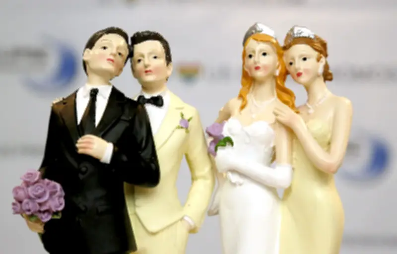 Mariages homosexuels en France : 6 750 unions en 2024, des disparités d'âge et de lieu