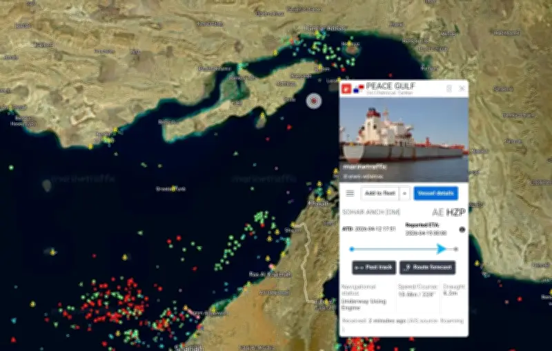 Marine Traffic : comment le site permet de suivre en temps réel la crise dans le détroit d'Ormuz