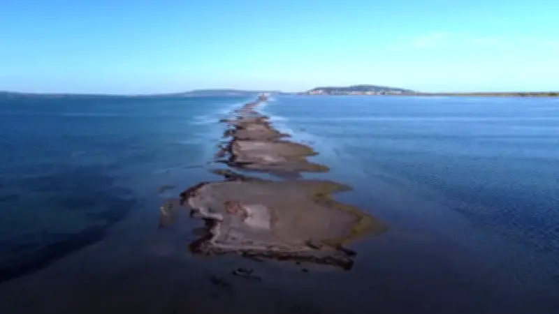 Marseillan : Étude innovante pour protéger les Tocs, habitats vitaux de la biodiversité