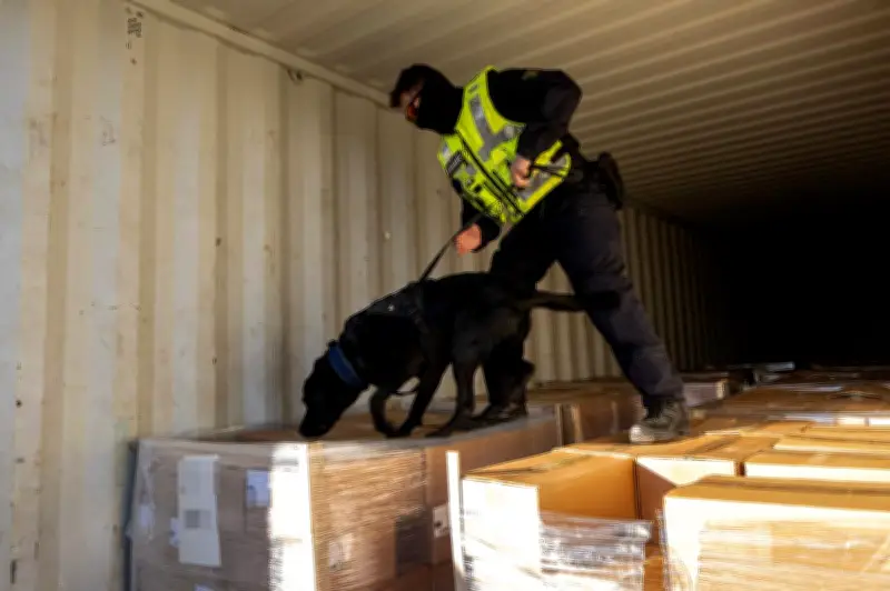 Marseille : 148 interpellations et 1 kilo de cocaïne saisis dans une vaste opération anti-drogue