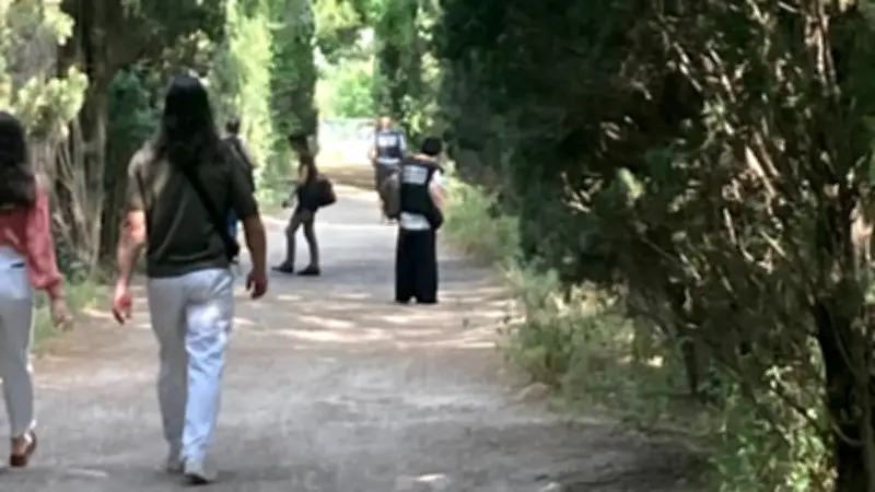 Meurtre à Montpellier : la PJ lance un appel à témoins treize jours après