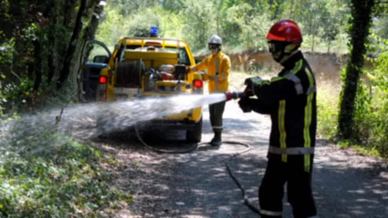 Mégots et barbecues : 135 € d'amende en forêt cet été