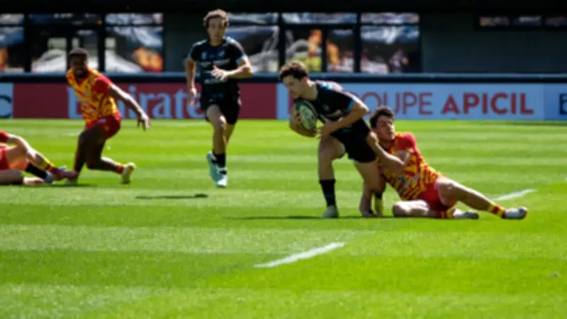 MHR-Usap : Montpellier surclasse Perpignan et vise les quarts de finale de la Challenge Cup