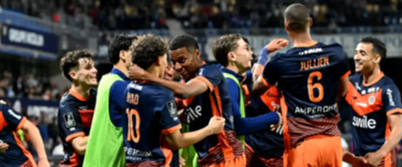 MHSC : Des investisseurs anglo-américains observent Montpellier face à Grenoble