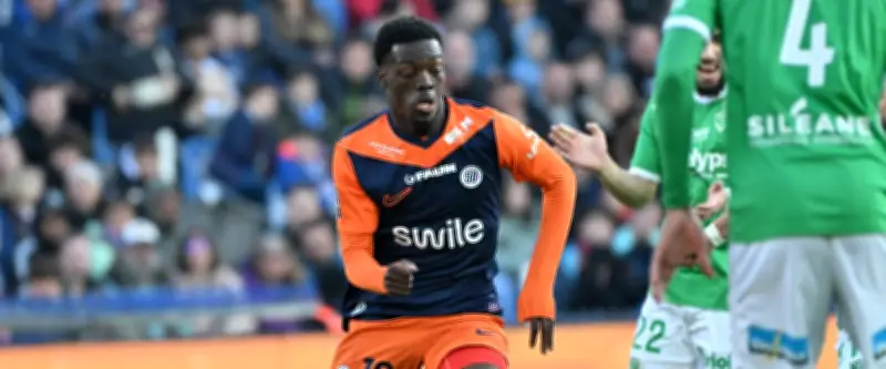 MHSC : le mercato d'été ne fait que commencer, des appels mais pas d'offre
