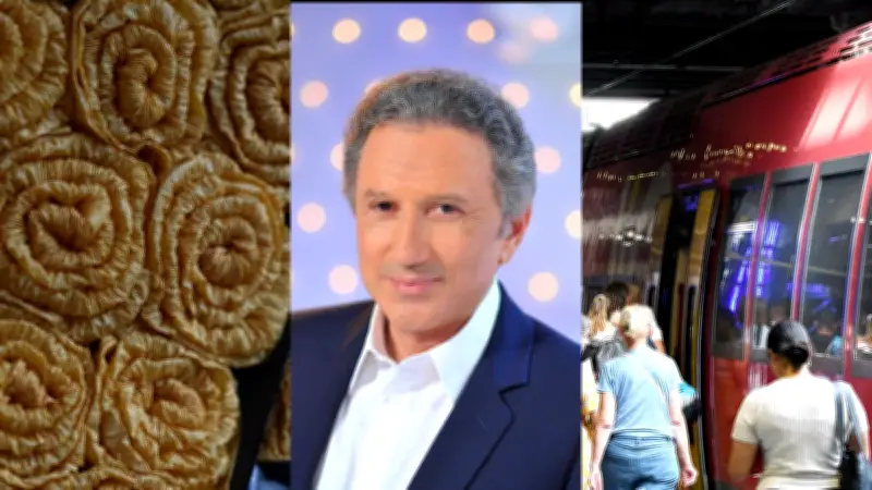 Michel Drucker, train à 1€, A69, corso fleuri : l'actu régionale