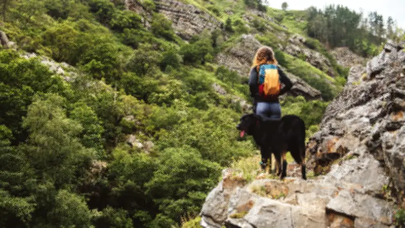 Miracle en Nouvelle-Zélande : une femme retrouve son chien après une chute de 55 mètres