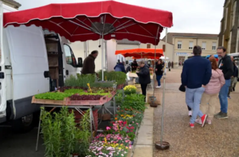 Mirambeau : le marché du samedi déménage sur la place de la Mairie