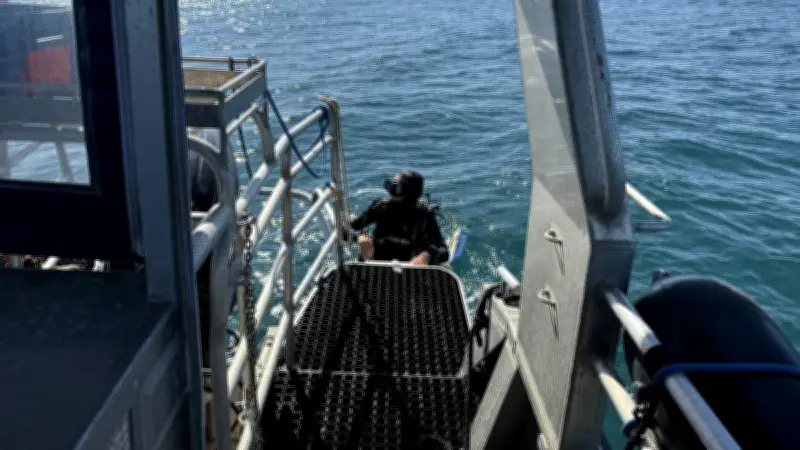 Mélissa, sentinelle des fonds marins du Cap d'Agde : "Je ne m'ennuie jamais dans ce lieu magnifique"