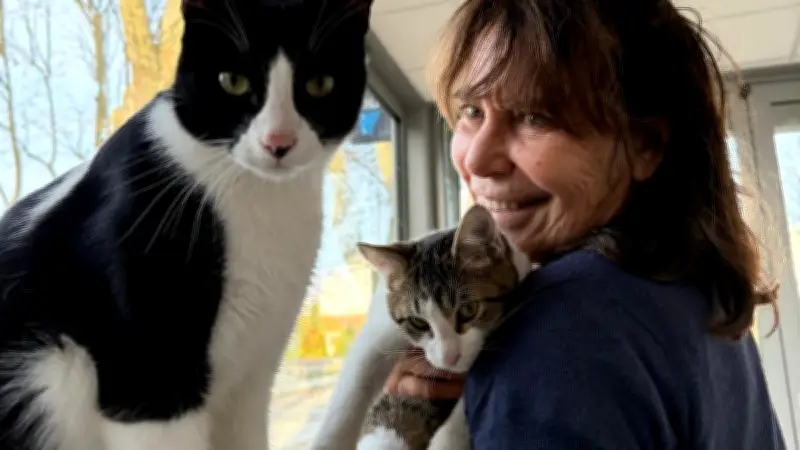 Mémona Hintermann explore nos liens avec les animaux dans un livre