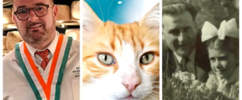 Mondial du fromage, chat délinquant, résistant : actu régionale