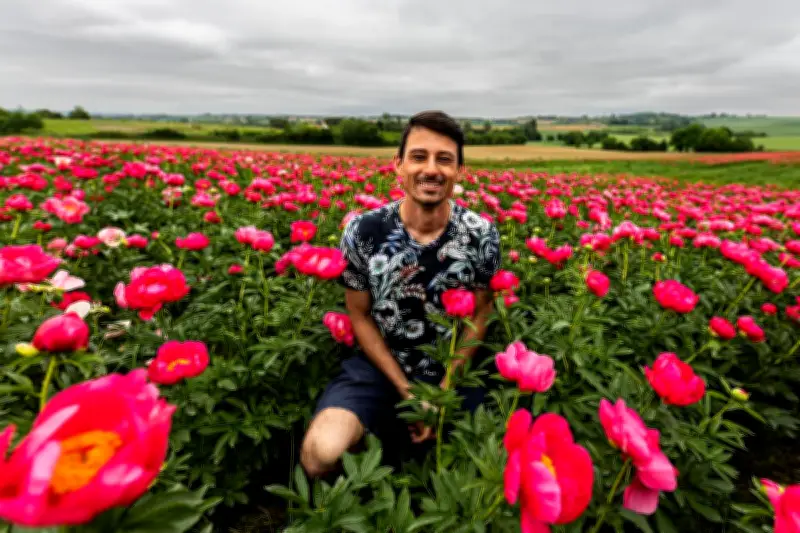 Monteton : Timothy Derrien lance sa production de pivoines