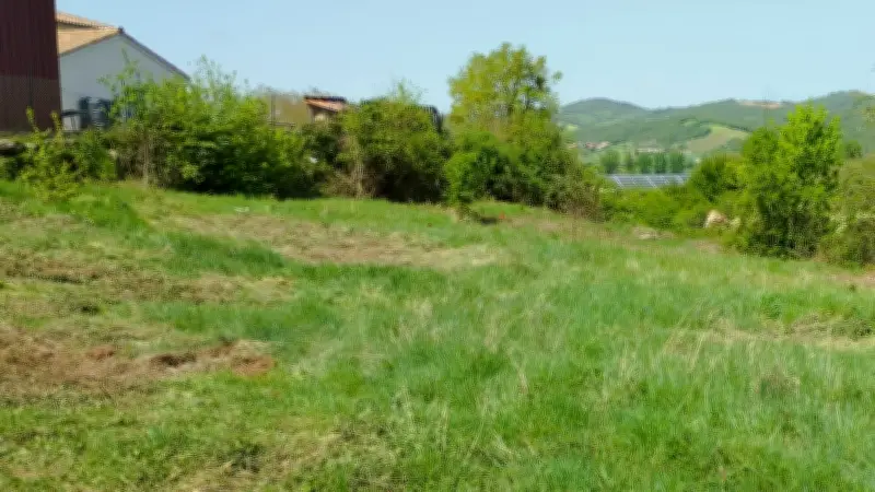 Montlaur : un verger collectif va voir le jour au Barry de Garrach