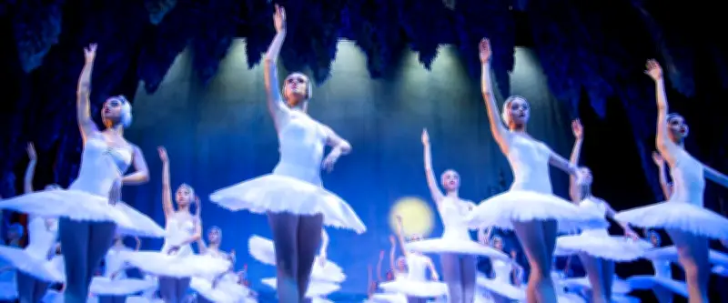 Montpellier ce mercredi : Art, féminisme et Lac des Cygnes au programme