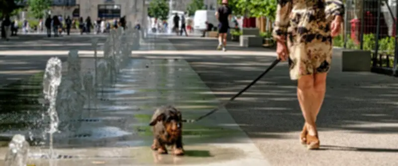 Montpellier signe la charte "Plus fraîche ma ville" face au climat