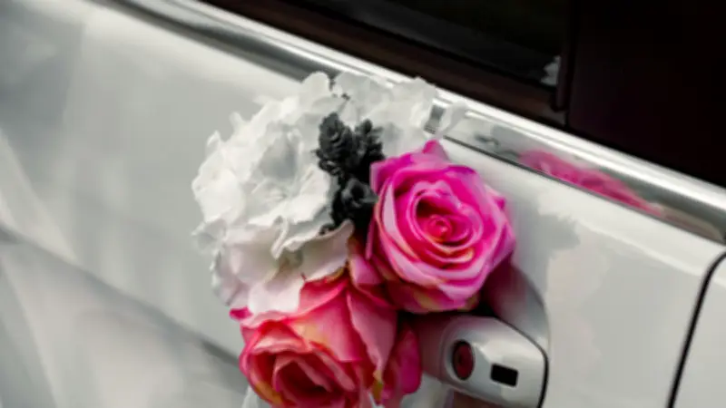 Montpellier : un mariage annulé après des rodéos urbains dans le cortège