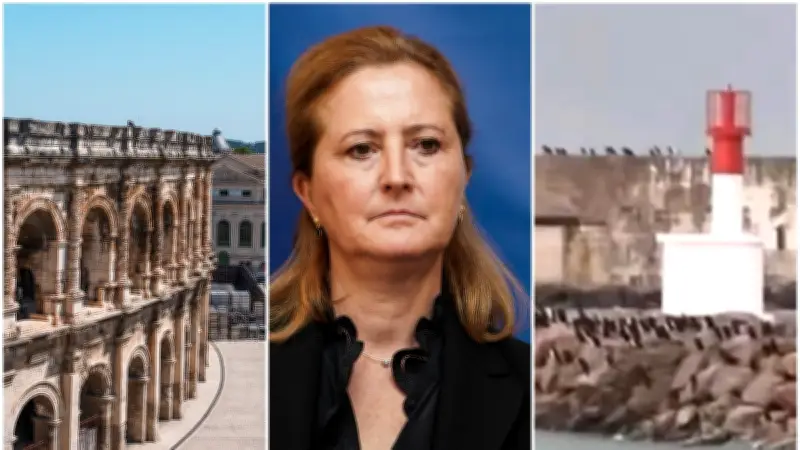 Monuments romains, caricature sexiste, pingouins à Sète : l'actu en région