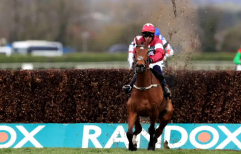 Mort d'un cheval au Grand National 2026 : polémique et appels à réformer les courses hippiques