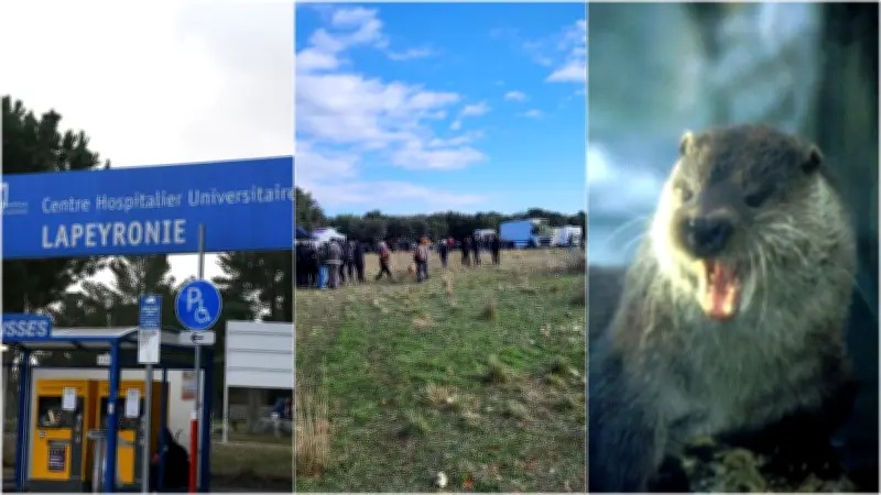 Mort d’un interne, rave contenue, loutre au Salagou : l’actu en région