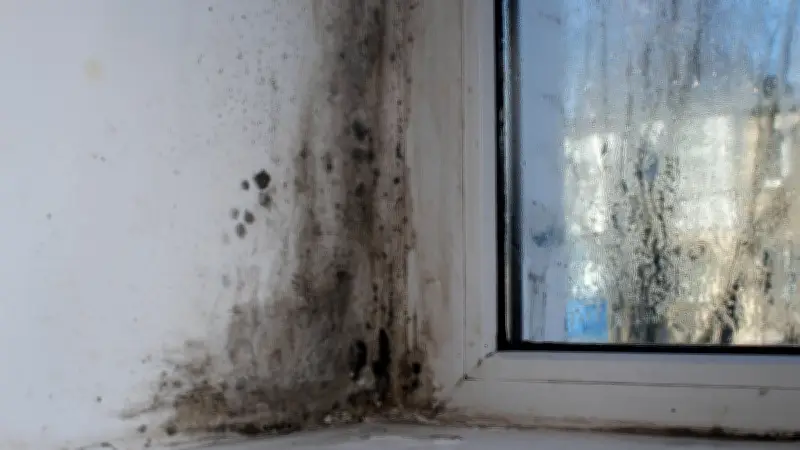 Mort d'un jeune homme de 29 ans : sa mère accuse l'insalubrité de son logement HLM